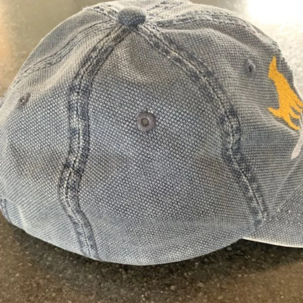 Golden Rescue Distressed Cap - Picture 3 of 5